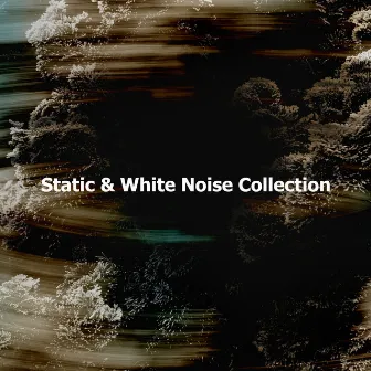 Static & White Noise Collection by The Sound of Static