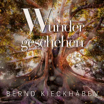 Wunder geschehen by Bernd Kieckhäben