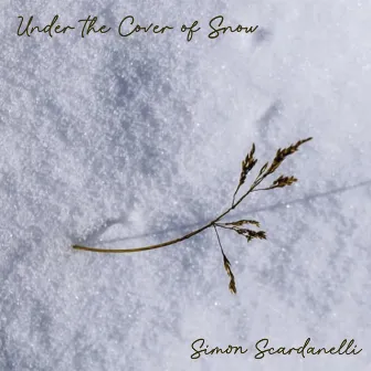 Under the Cover of Snow by Simon Scardanelli