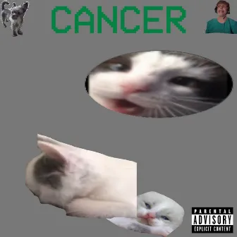 CANCER by Widemouth Howie