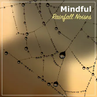 #17 Mindful Rainfall Noises by Heavy Rain Sounds