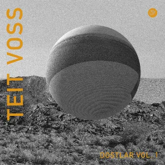 Dostlar, Vol. 1 by Teit Voss