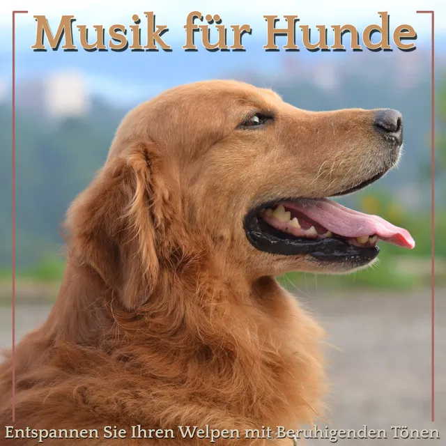 Music For Dogs Peace