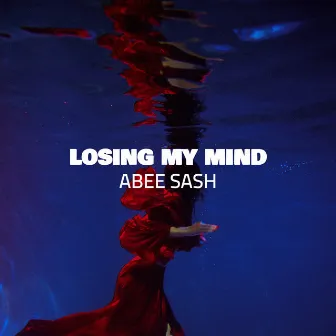 Losing My Mind by Abee Sash