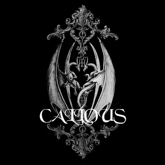 Callous by BLOOD PVCT