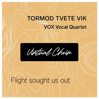 Flight sought us out (Virtual choir) by Tormod Tvete Vik