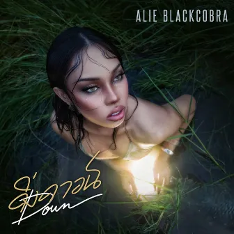 ดิ่งดาวน์ (DOWN) by ALIE BLACKCOBRA