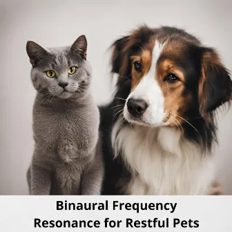 Binaural Frequency Resonance for Restful Pets: Tranquil Musical Therapy for Canines and Felines, Dreamy Melodies for Animal Companions by Sleepy Dogs!