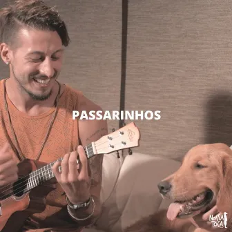 Passarinhos by Nossa Toca