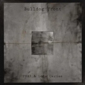 Bulldog Front by Lola Cerise