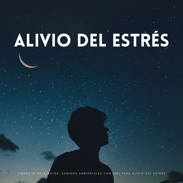 Vibras De Relajación: Sonidos Ambientales Con Lofi Para Alivio Del Estrés