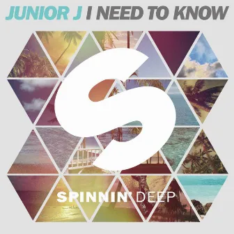 I Need To Know by Junior J