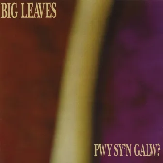 Pwy Sy'N Galw? by big leaves