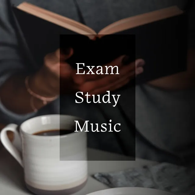 Exam Study Music – Focus Support, Background Noises Cleanser