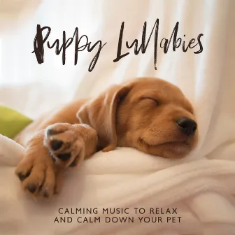 Puppy Lullabies – Calming Music to Relax and Calm Down Your Pet by Pet Care Club