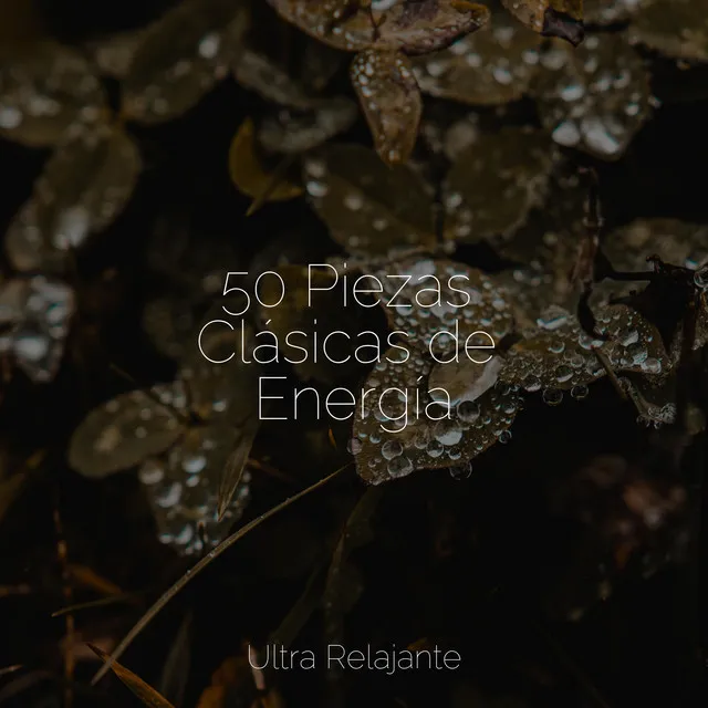 50 Piezas Clásicas de Energía