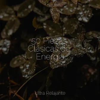 50 Piezas Clásicas de Energía by Unknown Artist