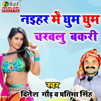 Naihar Me Ghum Ghum Charavalu Bakari by Dinesh Gaur