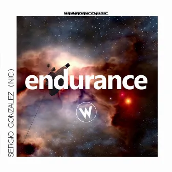 Endurance by Sergio Gonzalez (NIC)