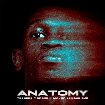 Anatomy by Tsebebe Moroke