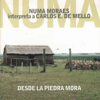 Desde la Piedra Mora by Numa Moraes