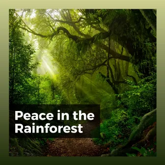 Peace in the Rainforest by Rainforest Sounds