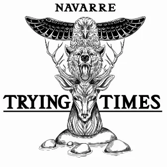 Trying Times by Navarre