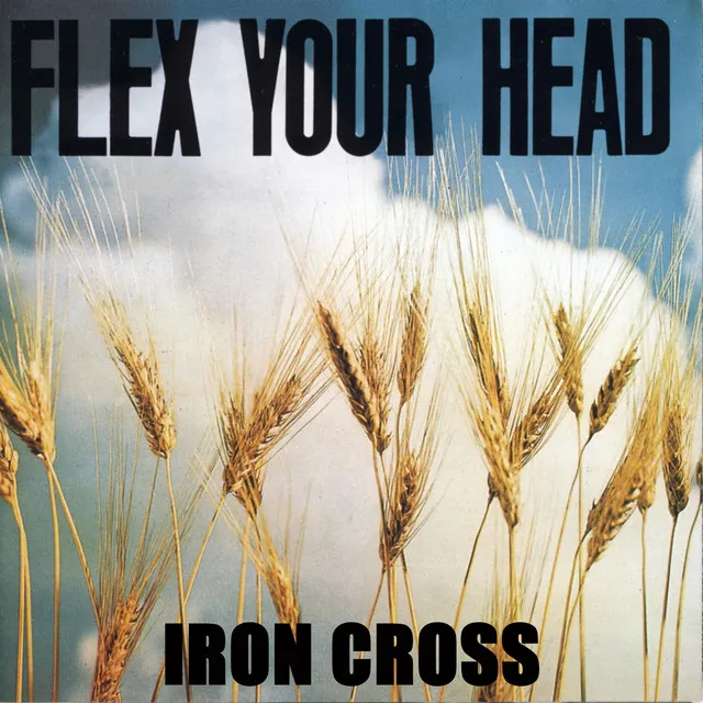 Flex Your Head