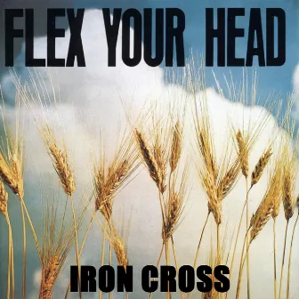 Flex Your Head by Iron Cross