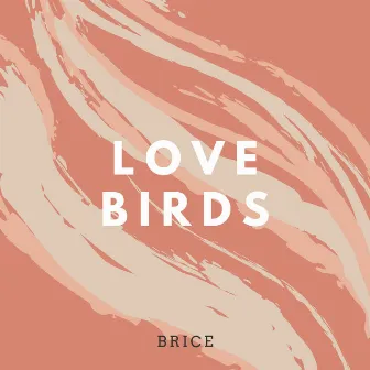 Love Birds by Brice