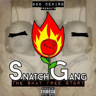 Snatch Gang: The Shay Free Story by Shay Free