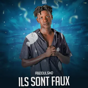 Ils sont faux by Abdoulsko