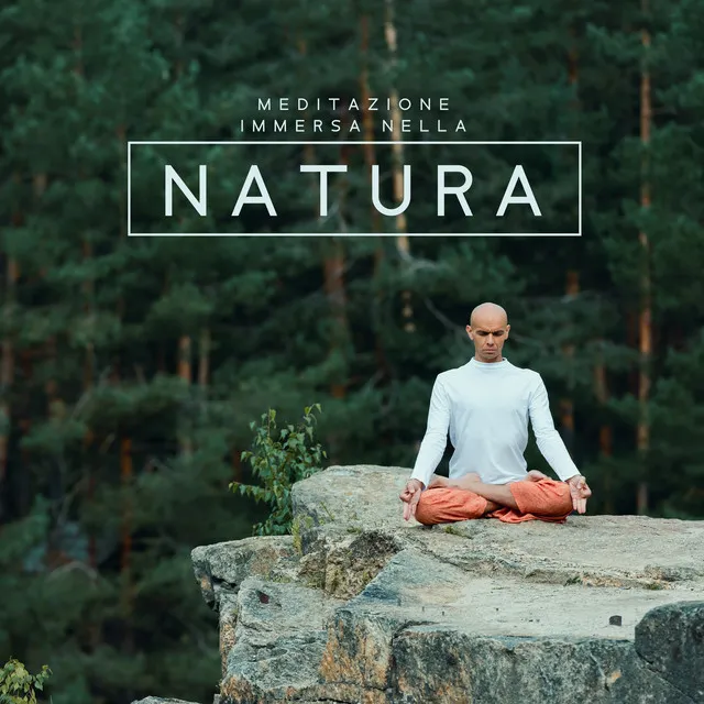 Meditazione immersa nella natura