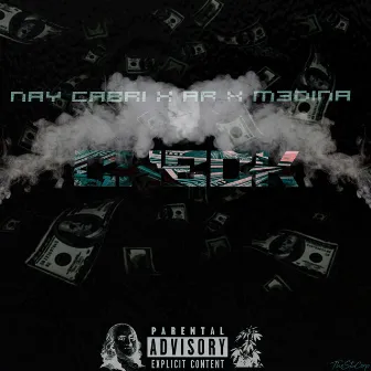 Check by Nay Cabri