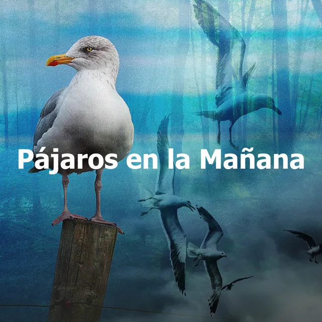 Pájaros en la Mañana