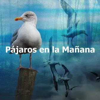 Pájaros en la Mañana by Bosque Ocupado