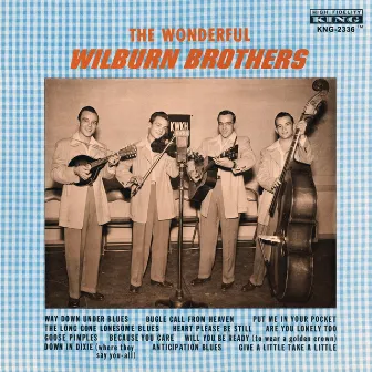 The Wonderful Wilburn Brothers by The Wilburn Brothers