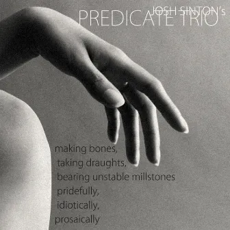 Making Bones, Taking Draughts, Bearing Unstable Millstones Pridefully, Idiotically, Prosaically by Josh Sinton