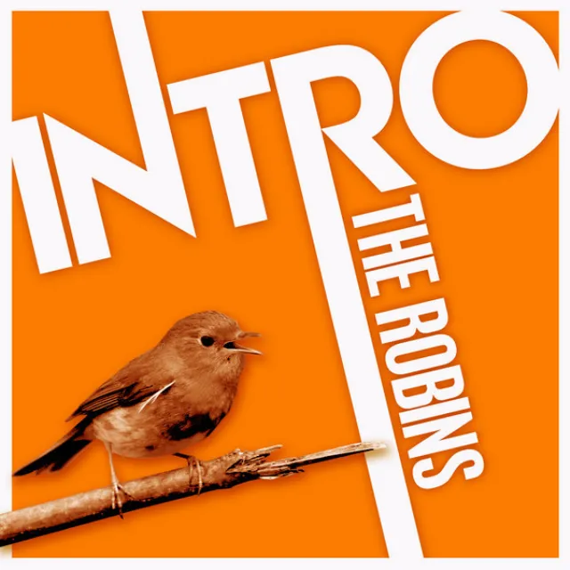 Intro: The Robins - EP