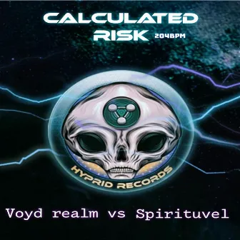 Calculated Risk by Spirituvel