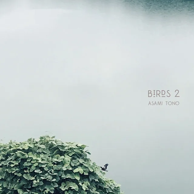 Birds 2