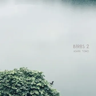 Birds 2 by Asami Tono