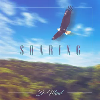 Soaring by D-Mind