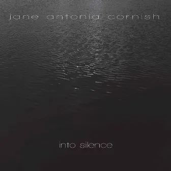 Into Silence by Jane Antonia Cornish