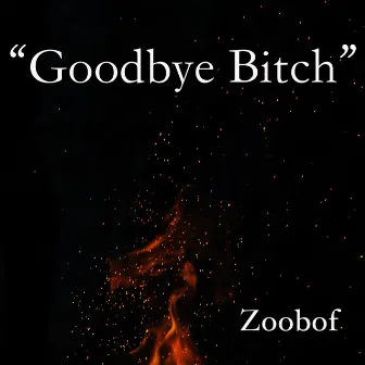 Goodbye Bitch by Zoobof