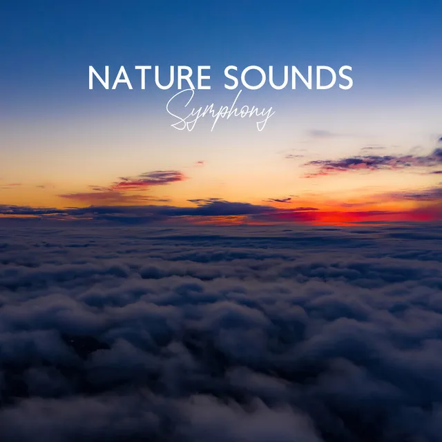 Nature Sounds Symphony (Meditation Music, Relaxing Well-Being, Sleep Therapy, Stress Relief Sounds)