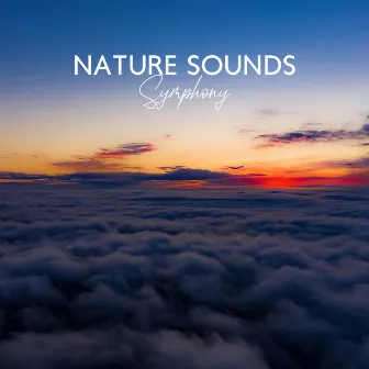 Nature Sounds Symphony (Meditation Music, Relaxing Well-Being, Sleep Therapy, Stress Relief Sounds) by Total Relax Music Ambient