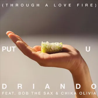 Put U (Through a Love Fire) by Driando