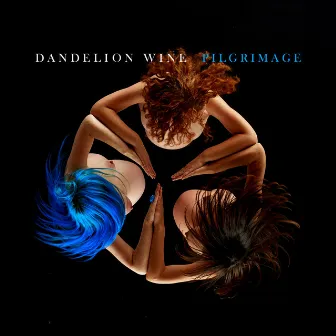 Pilgrimage by Dandelion Wine