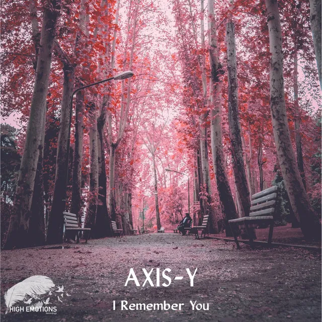 I Remember You (Intro Mix)